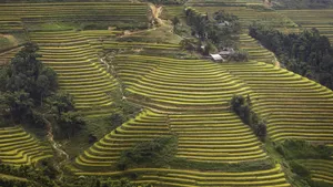 秋季梯田风景图片_6