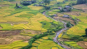 秋季梯田风景图片_9