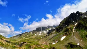 绿色春季自然风景图片_5