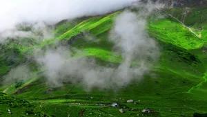 绿色春季自然风景图片_6