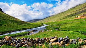 绿色春季自然风景图片_10