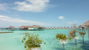 马尔代夫海边风景图片_3
