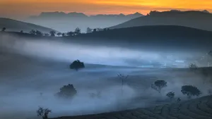 唯美乡村田园风景图片_2
