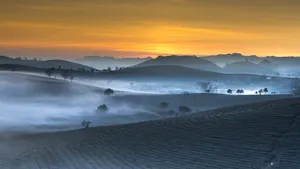 唯美乡村田园风景图片_3