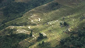唯美乡村田园风景图片_7