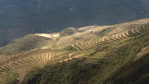 唯美乡村田园风景图片_10