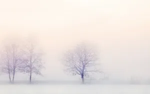 二十四节气立冬图片壁纸_6