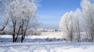 冬季高清雪景图片大全_2