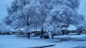 冬季高清雪景图片大全_3