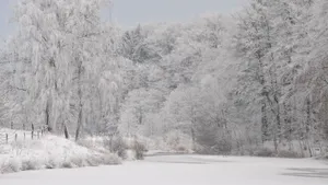 冬季高清雪景图片大全_4