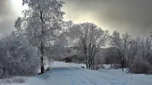 冬季高清雪景图片大全_5