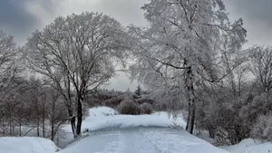 冬季高清雪景图片大全_6