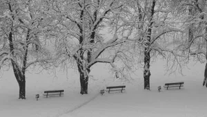 冬季高清雪景图片大全_7