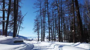 冬季喀纳斯湖雪景图片_7