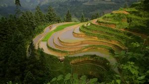 好看的梯田风景图片_4