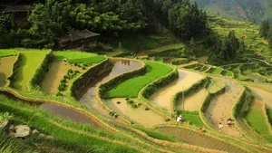 好看的梯田风景图片_5