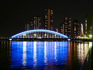 城市夜景 第五辑_14