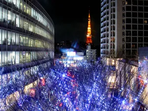 城市夜景 第一辑_15
