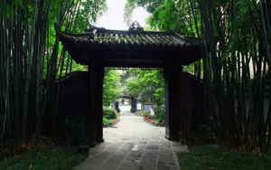 成都印象 第三辑_16