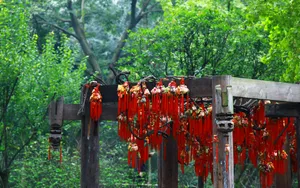 成都印象 第一辑_3
