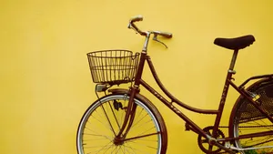 代步工具自行车图片_6