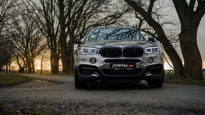 2018 fostla.de BMW 宝马 X6 M50D F16_12