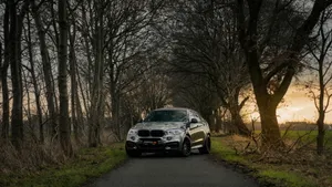 2018款BMW 宝马 X6汽车壁纸_8