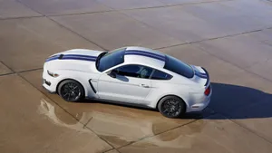 福特Shelby GT350汽车车图片_4