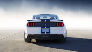 福特Shelby GT350汽车车图片_7