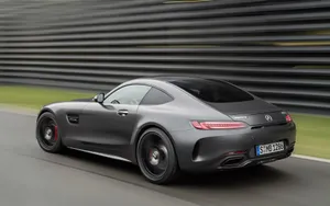 奔驰AMG GT Edition 50图片_2