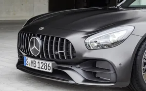 奔驰AMG GT Edition 50图片_3