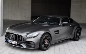 奔驰AMG GT Edition 50图片_5