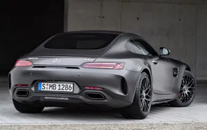 奔驰AMG GT Edition 50图片_8