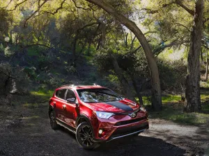 丰田RAV4图片壁纸_2