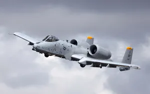 尤猪A-10雷电攻击机图片_7