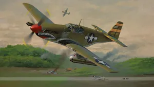 P-51野马战斗机桌面壁纸_9