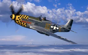 P-51野马战斗机桌面壁纸_12