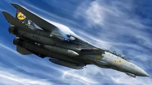 F-14雄猫战斗机图片