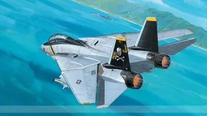 F-14雄猫战斗机图片_3