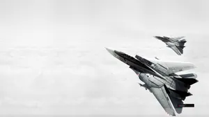 F-14雄猫战斗机图片_4