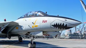 F-14雄猫战斗机图片_6