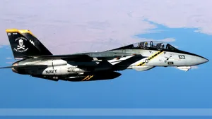 F-14雄猫战斗机图片_7