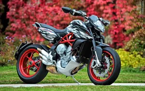 2014款阿古斯塔MV Agusta Rivale 800摩托_5