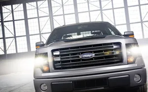 2014款福特F-150 Tremor皮卡汽车_3