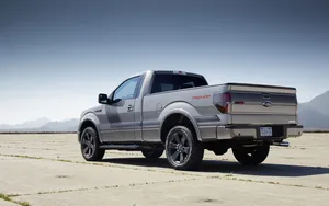 2014款福特F-150 Tremor皮卡汽车_5