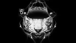 梦幻汽车动物创意设计壁纸_11