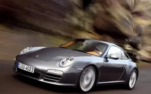 保时捷Panamera 911 Carrera双子汽车_28