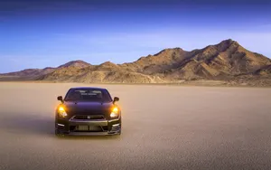 2014款GT-R赛道版跑车壁纸_17