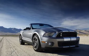 2010款福特眼镜蛇GT500跑车壁纸