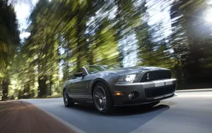 2010款福特眼镜蛇GT500跑车壁纸_3